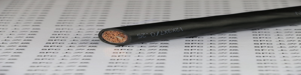 ZR-DJVPV22聚氯乙烯絕緣編織組屏蔽聚氯乙烯護(hù)套鋼帶鎧裝計算機(jī)電纜