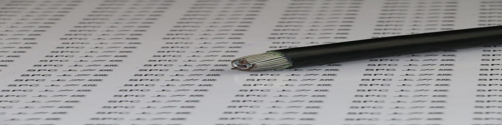 ?DJFP2GR32氟塑料絕緣銅帶繞包組屏蔽硅橡膠護(hù)套鋼絲鎧裝計(jì)算機(jī)軟電纜  ZR-DJFP2GR32計(jì)算機(jī)屏蔽軟電纜