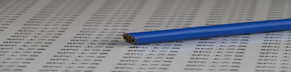 ?IA-DJYVP2-22聚乙烯絕緣銅帶繞包總屏蔽聚氯乙烯護(hù)套鋼帶鎧裝本安計(jì)算機(jī)電纜  ZR-IA-DJYVP2-22本安計(jì)算機(jī)屏蔽電纜