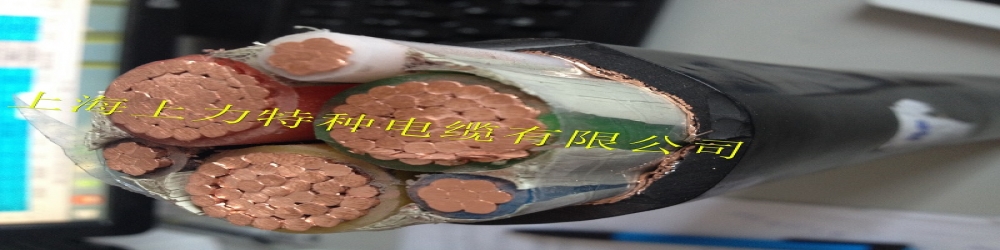 ?BPYJVP2P交聯(lián)聚乙烯絕緣聚氯乙烯護套銅帶繞包銅絲編織屏蔽變頻電纜  SPCFC-PVC-2YKCY變頻專用電纜