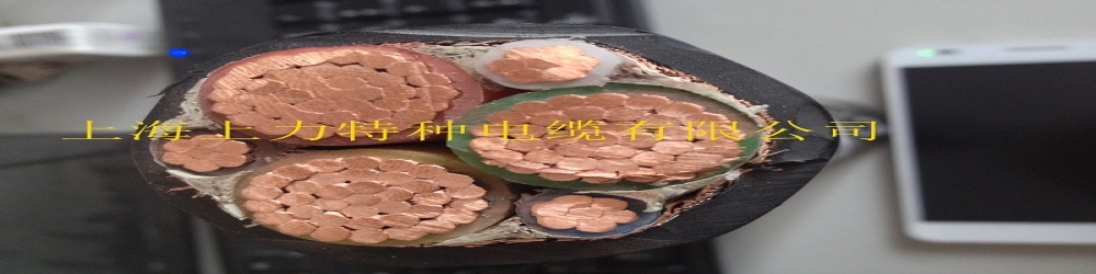 ?BPYJVRP1-3交聯(lián)聚乙烯絕緣聚氯乙烯護套銅絲纏繞鋁塑復合帶繞包屏蔽變頻軟電纜  SPCSFC-PVC-2YD(L)Y變頻專用電纜